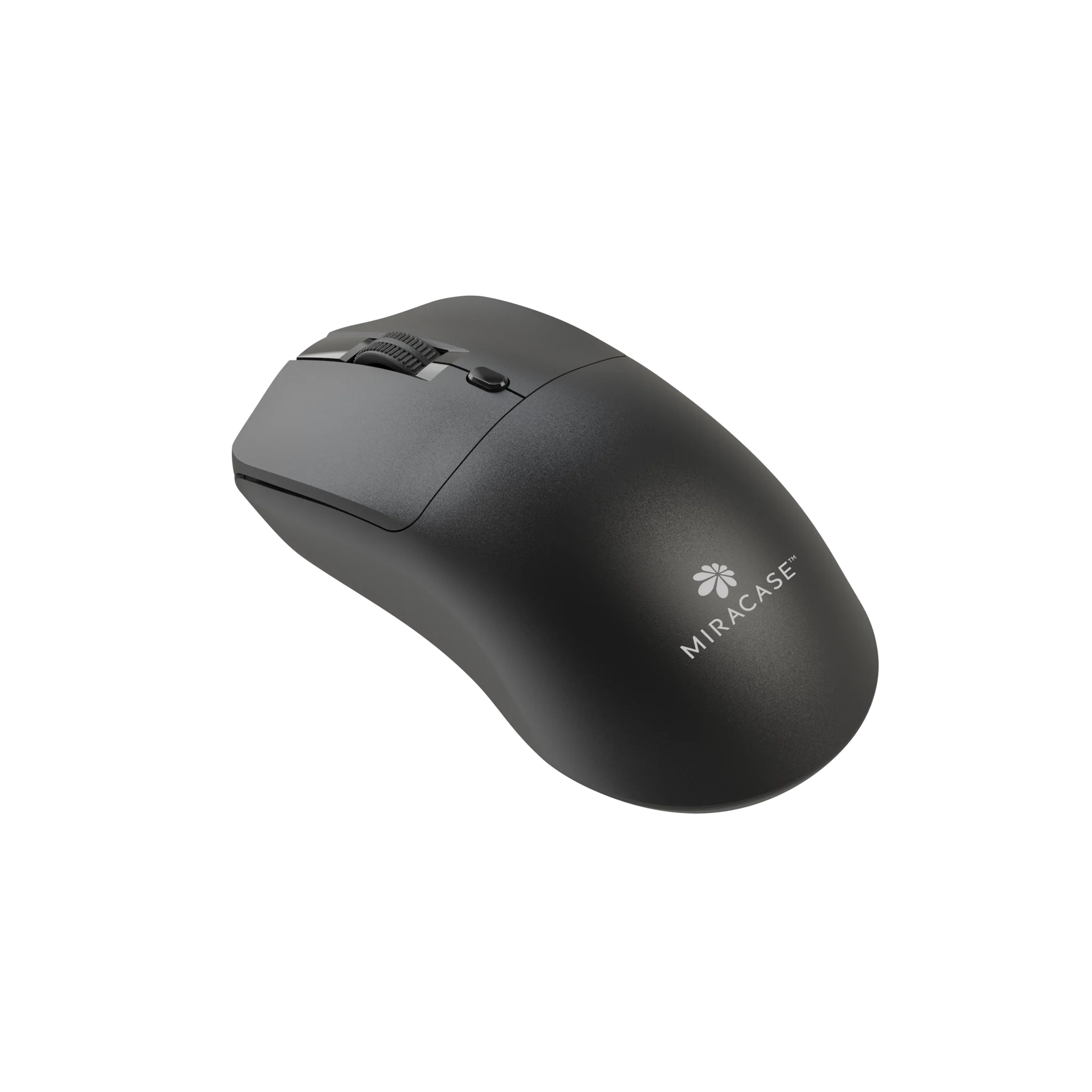 Untitled-11101-2048x2048